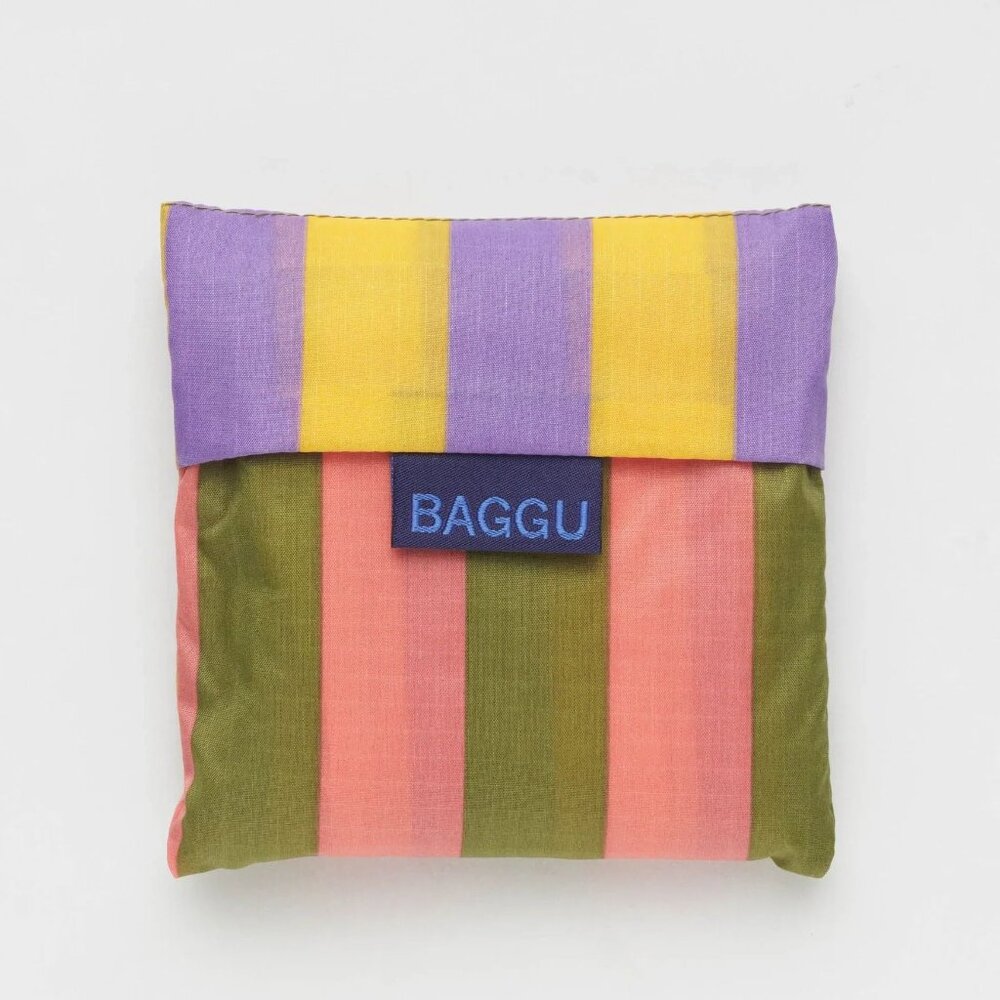 NWT Standard Baggu - Sunset Stripe